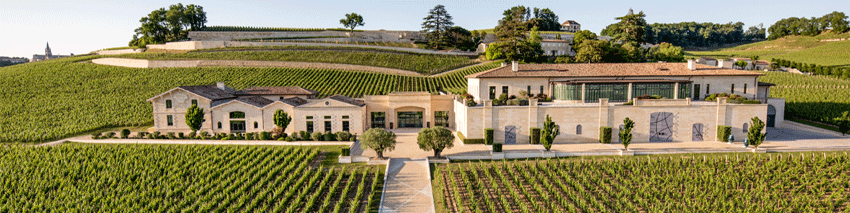 Chateau Pavie Saint Emilion Panorama